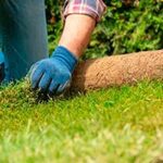 Landscaping Services